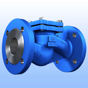 ETM Armaturen DIN lift check valve 