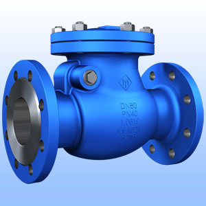 ETM Armaturen DIN swing check valve